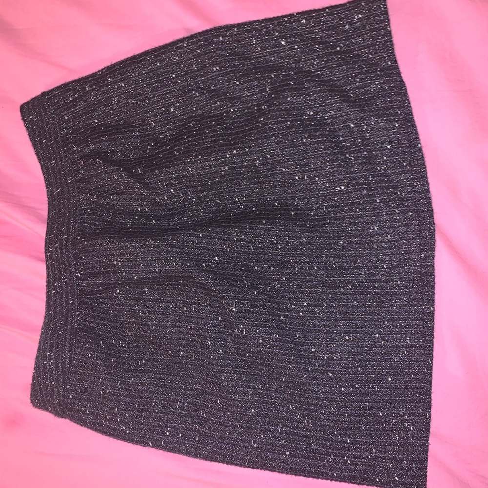 Ann Taylor Loft Petite thick skirt